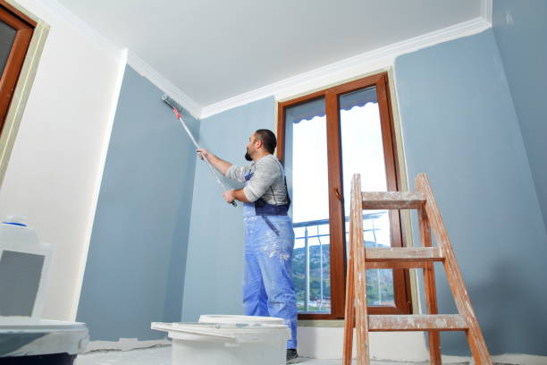 Best Attic Mold Removal  in Belzoni, MS