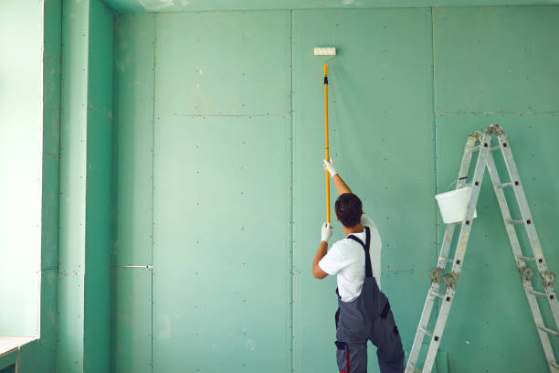Trusted Belzoni, MS Mold Removal Experts