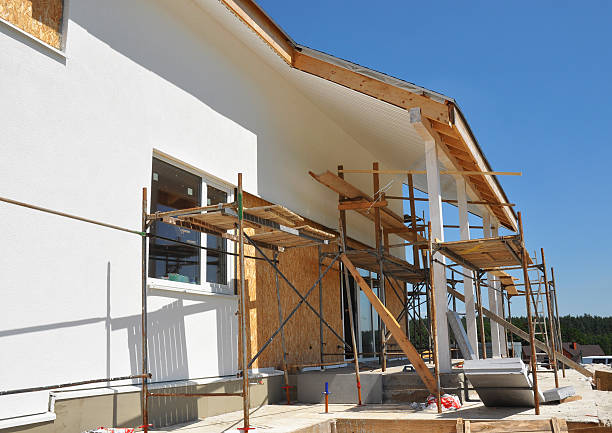 Best Environmental Consulting for Mold Prevention  in Belzoni, MS