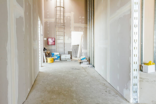Best Emergency Mold Remediation  in Belzoni, MS