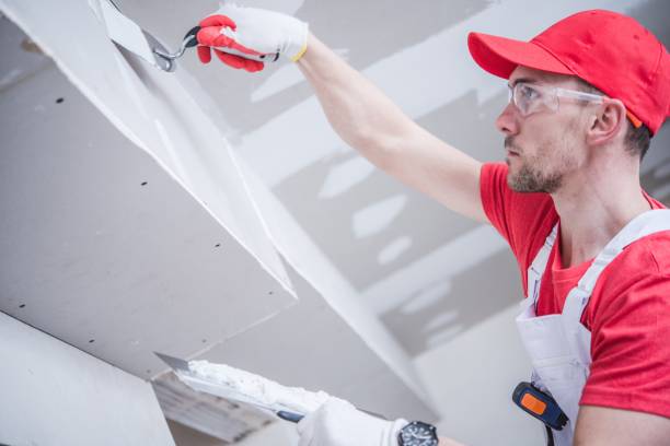 Best Basement Mold Removal  in Belzoni, MS